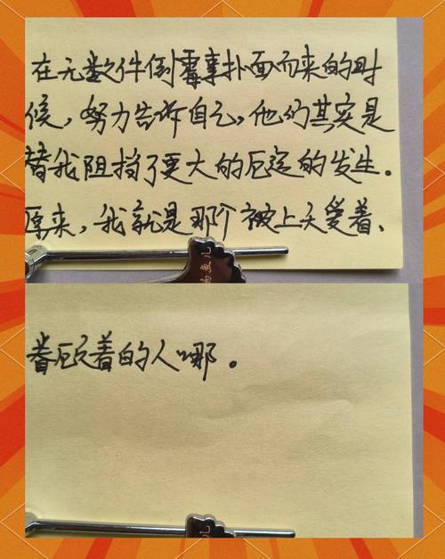 总要习惯一个人全文在线阅读 | 治愈成长经典