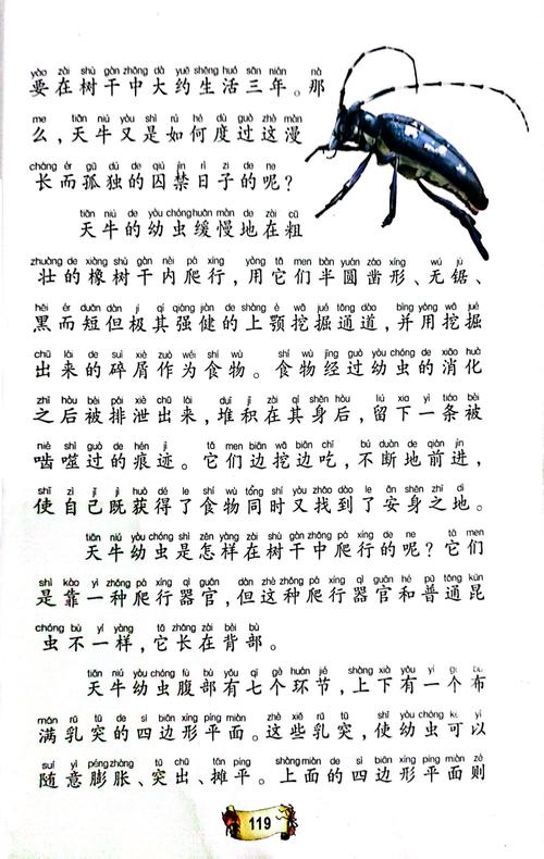 昆虫记在线阅读全文 | 法布尔经典昆虫百科