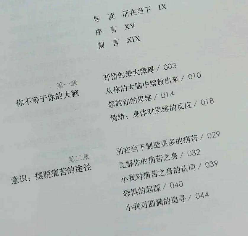 当下的力量在线阅读 - 心灵觉醒与当下智慧