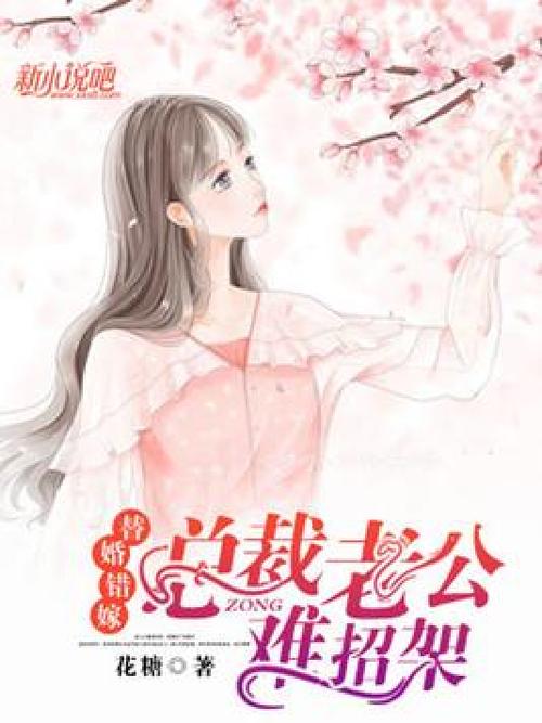 错嫁替婚总裁免费全文阅读 | 在线无广告小说推荐