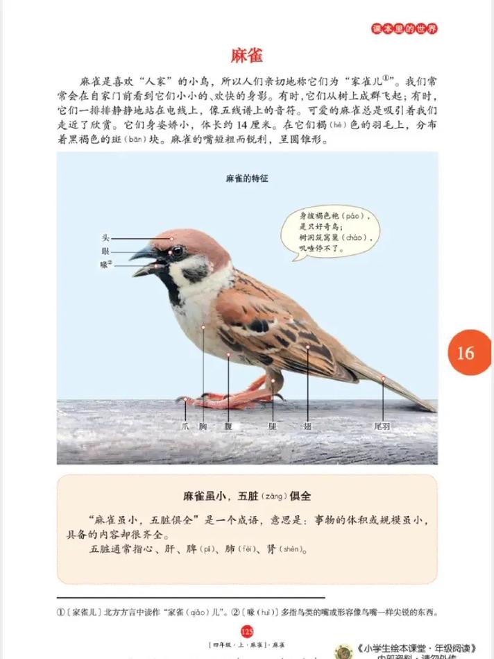 金瓶梅小说在线阅读_古典禁毁名著_兰陵笑笑生_全文无删节
