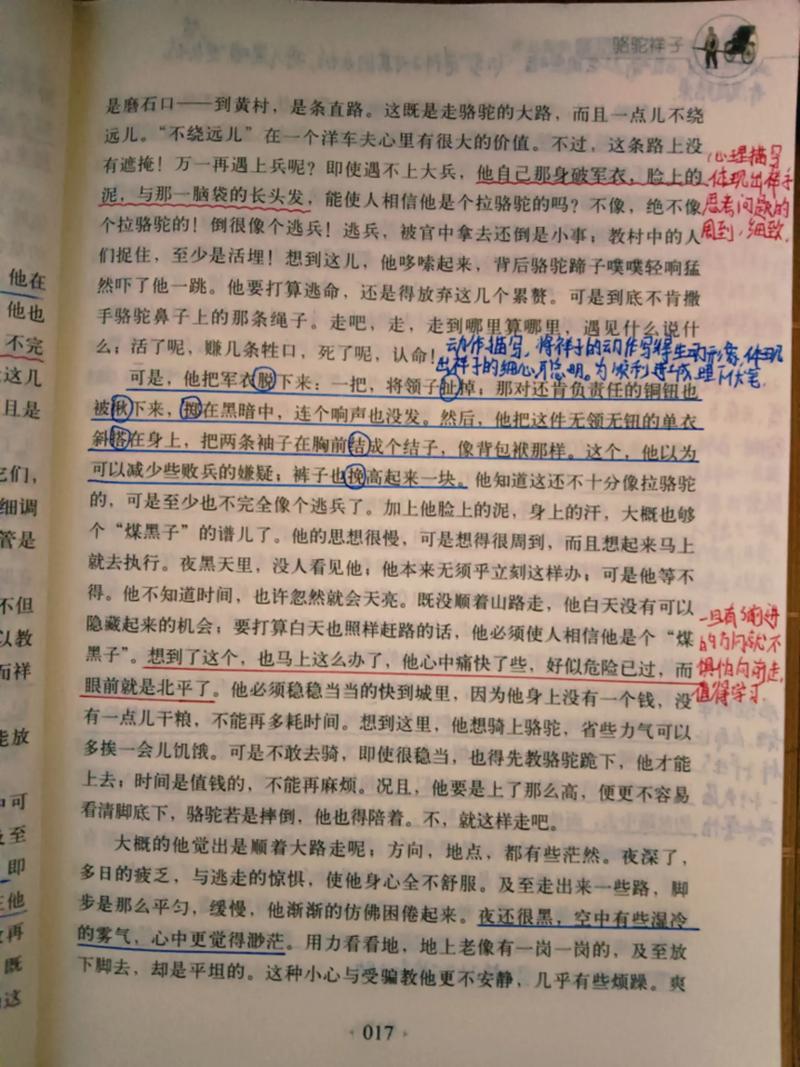 骆驼祥子原著在线阅读 | 老舍经典小说全文免费读