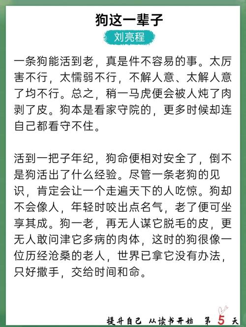 人狗合集全文在线阅读 | 精选人与狗温情故事合集