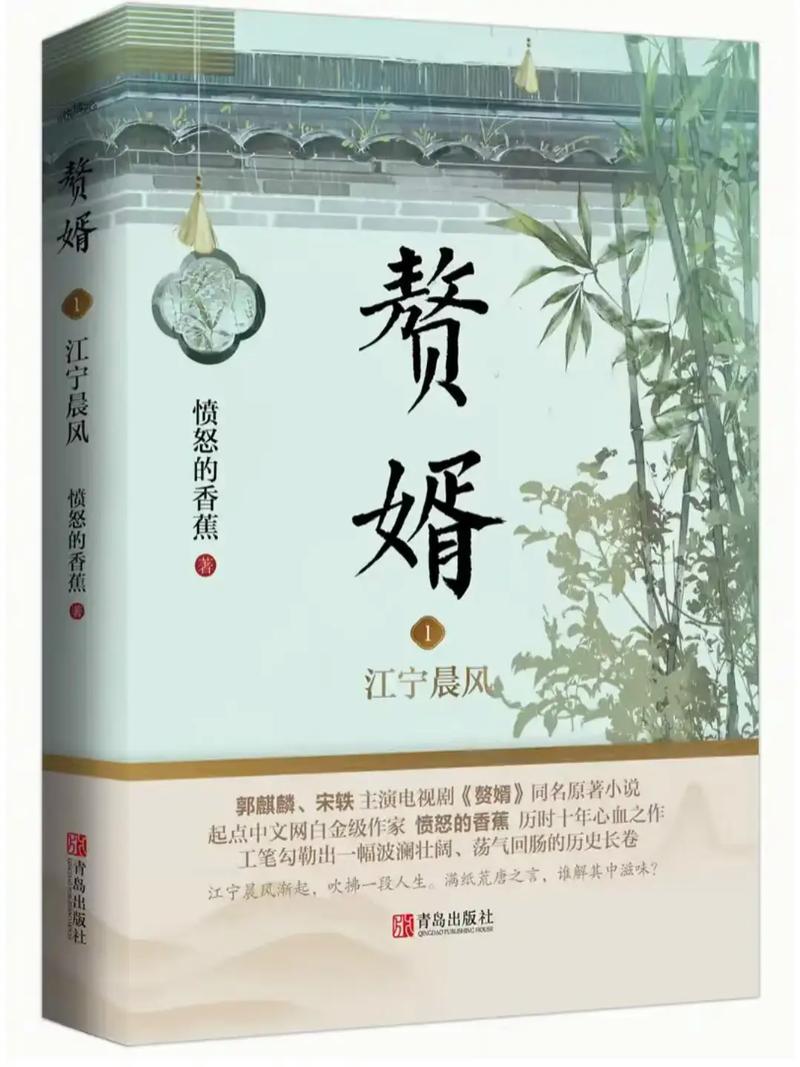 最佳赘婿最新章节在线阅读 | 宁毅逆袭之路精彩继续