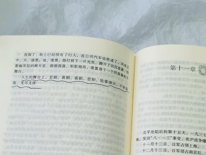穆斯林的葬礼全文在线阅读_经典文学小说_无删减版