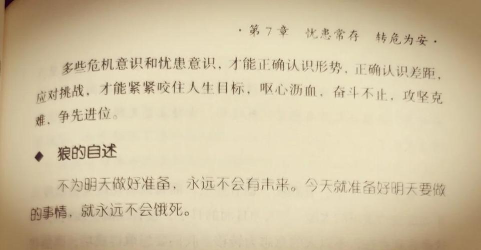 狼道在线阅读:揭秘狼性生存法则与团队管理智慧
