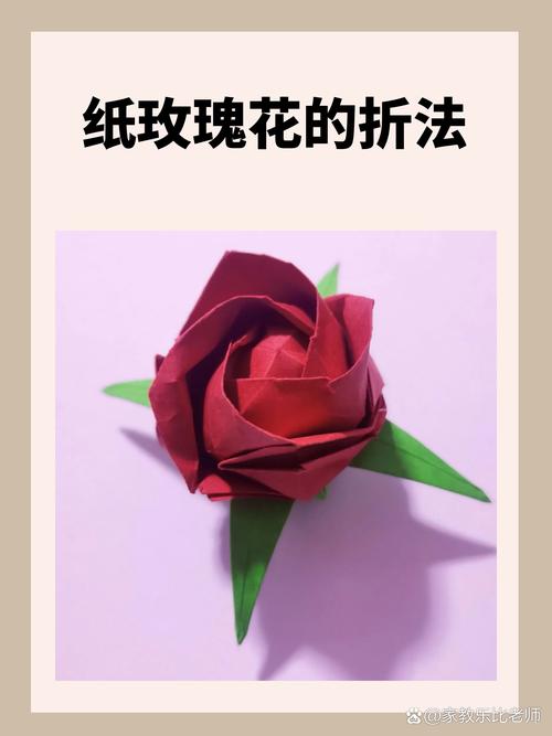 纸玫瑰全文免费在线阅读 | 经典言情小说