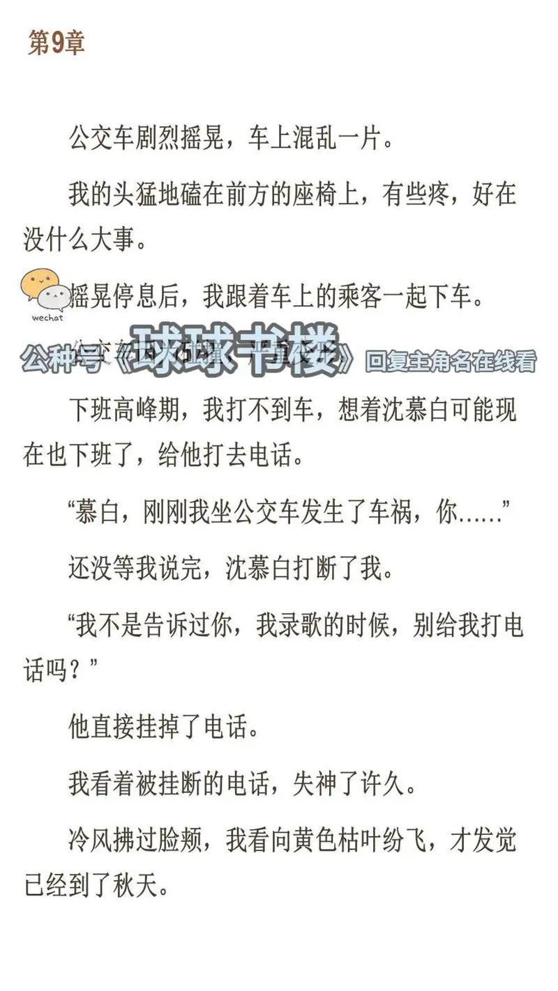 公车上被强入小说全文阅读 - 热门章节在线免费看