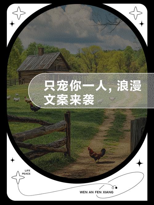 《只宠你一人》全文在线免费阅读 | 甜宠言情小说推荐