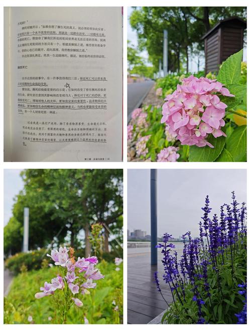 神级龙卫在线阅读 | 全文无弹窗免费阅读