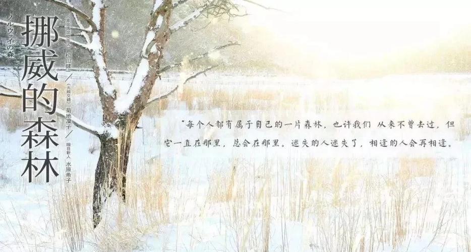 少年阿斌全文免费在线阅读 | 最新章节更新