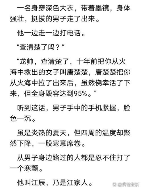 江辰唐楚楚全文免费阅读_江辰唐楚楚小说最新章节目录