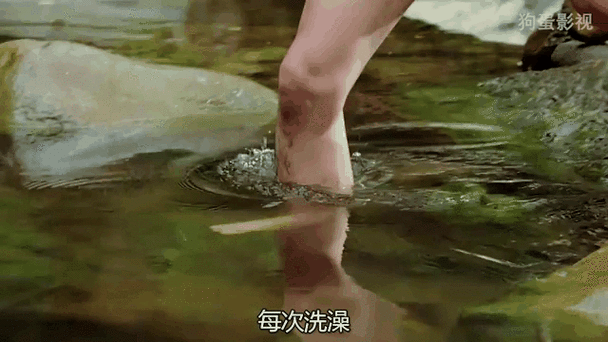 猛男诞生记在线阅读 - 热血逆袭,从平凡到巅峰的蜕变之旅