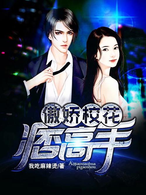 傲娇校花痞高手全文免费阅读_热门小说在线无弹窗