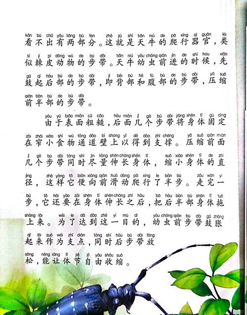 参考消息报纸在线阅读 - 全球资讯一手掌握