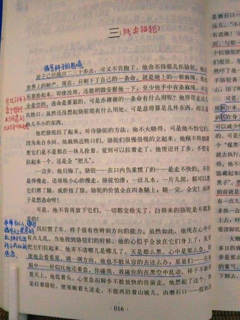 骆驼祥子原著在线阅读 | 老舍经典小说全文免费读