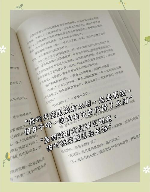 白夜行全集免费在线阅读 | 东野圭吾经典推理小说