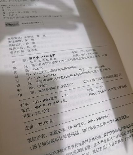 东北往事6在线阅读：揭秘黑道风云二十年大结局与时代悲歌