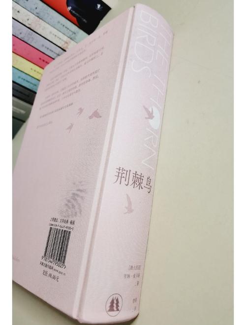 《荆棘鸟》在线阅读｜经典爱情小说全文免费阅读