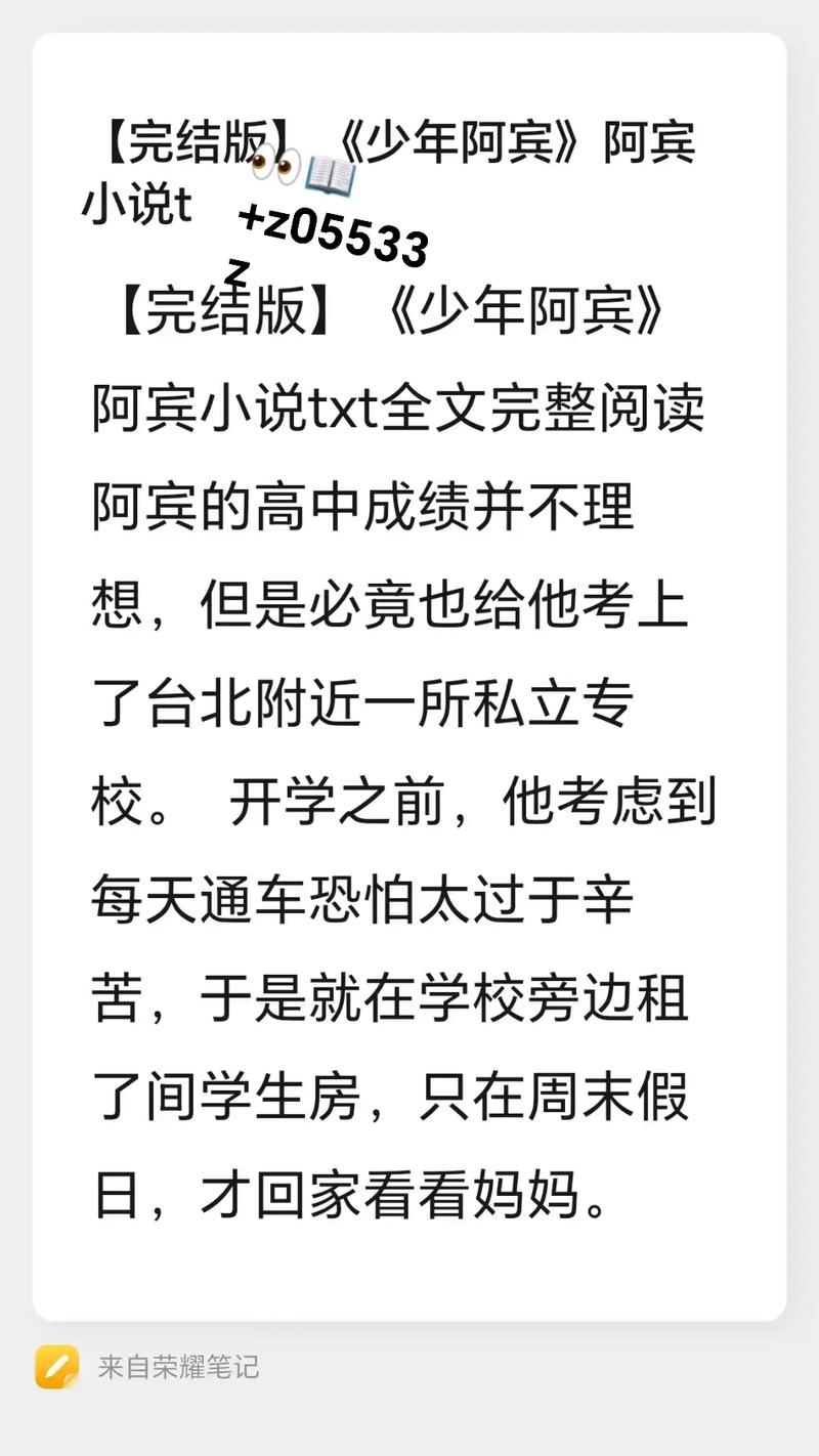 少年阿宾在线全文阅读 - 完整版无删减小说免费在线阅读