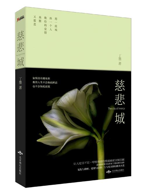 慈悲城全文免费阅读 | 在线无广告版