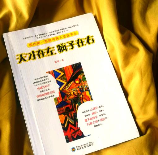 天才在左疯子在右在线阅读:探秘精神病人的奇异世界观