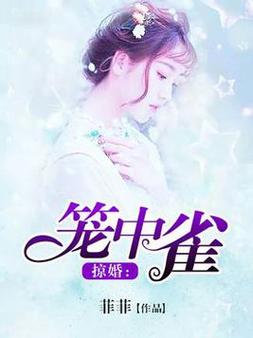 掠婚小说免费阅读在线 - 热门霸总追妻文大全