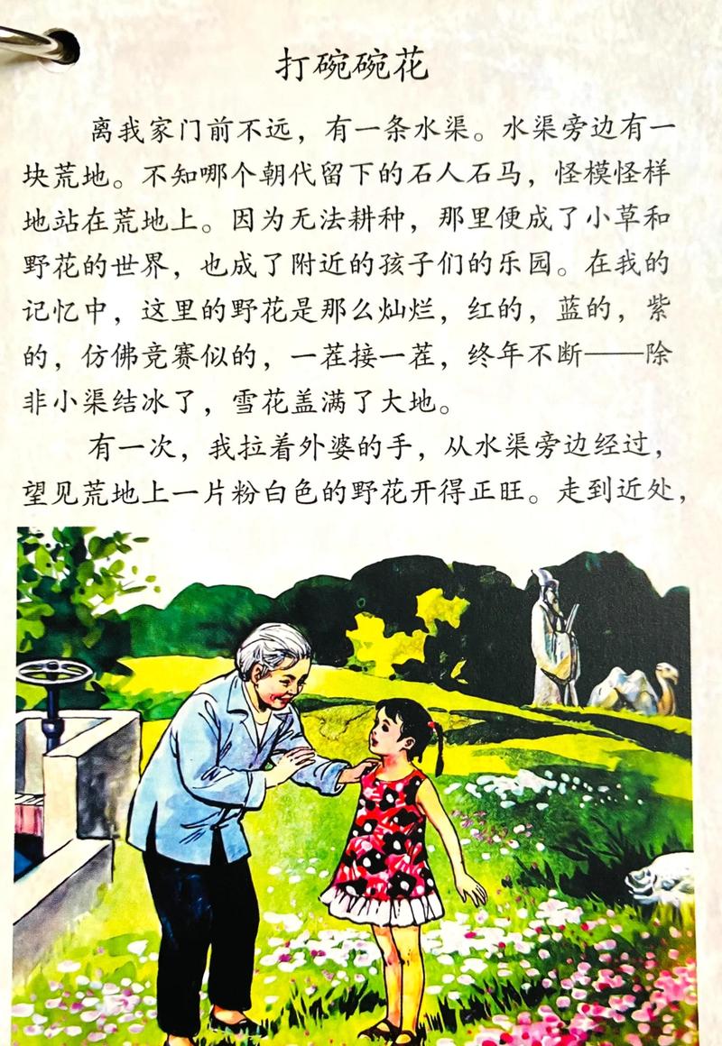 老房子的春天全文免费阅读 - 在线翻新旧居的温馨故事