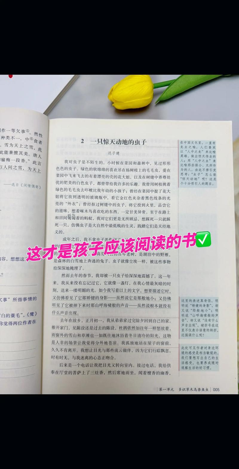 人民日报电子版在线阅读 - 官方数字报平台