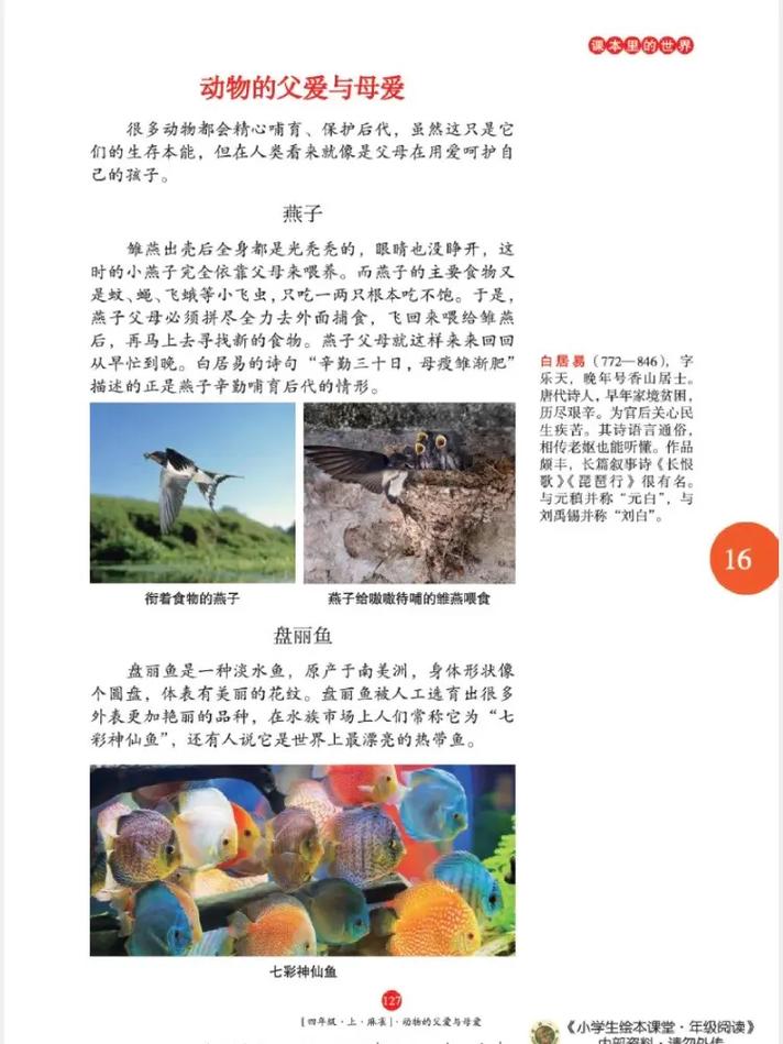 麻雀全文在线阅读 - 免费阅读经典小说