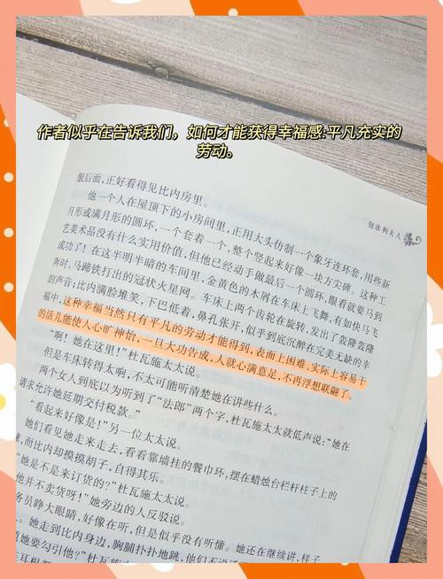 包法利夫人在线阅读 | 经典名著免费电子书