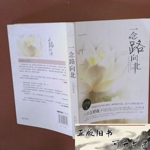 一念路向北全文免费在线阅读 | 一念路向北小说最新章节