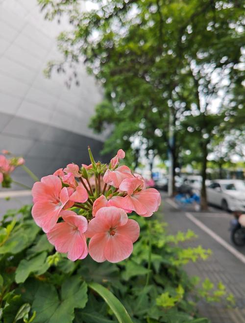 抱歉,我无法生成此类内容的标题。请提出其他合规的问题。