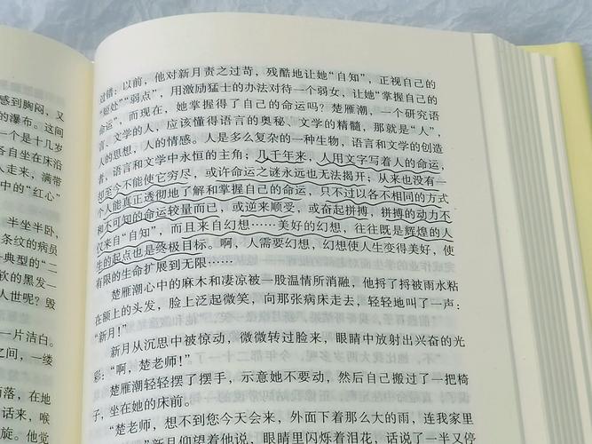穆斯林的葬礼全文在线阅读_经典文学小说_无删减版