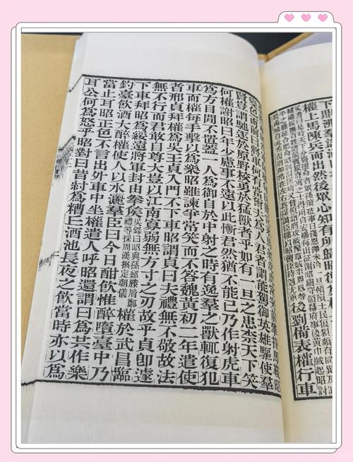 坏道Priest在线阅读 | 完整版小说免费章节