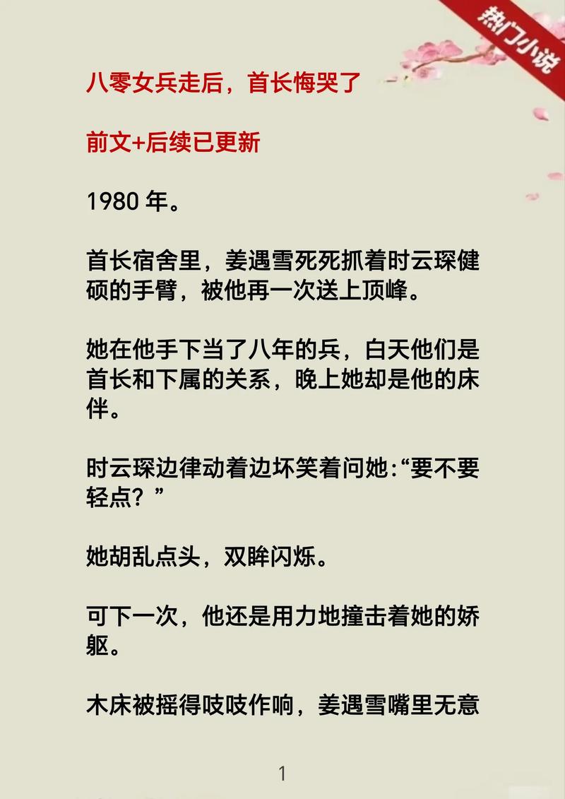 少阿兵宾小说全文阅读:免费在线阅读完整版无弹窗