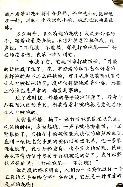 老房子的春天全文免费阅读 - 在线翻新旧居的温馨故事