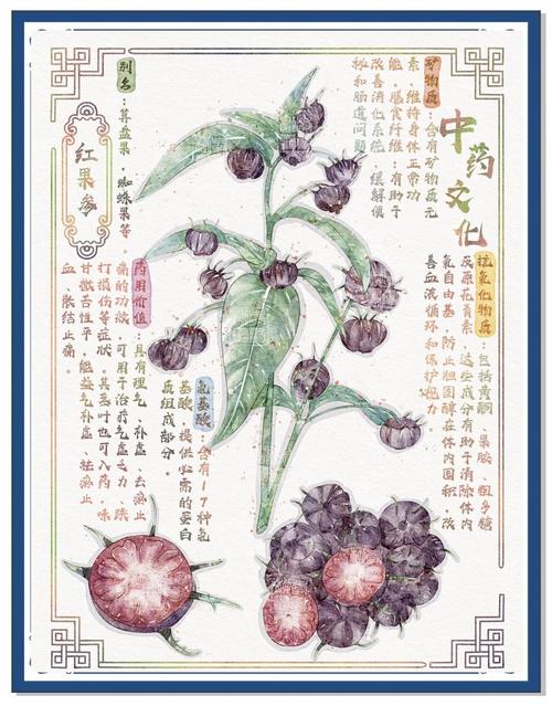 《富爸爸穷爸爸》在线阅读:揭秘财务自由与投资理财核心思维