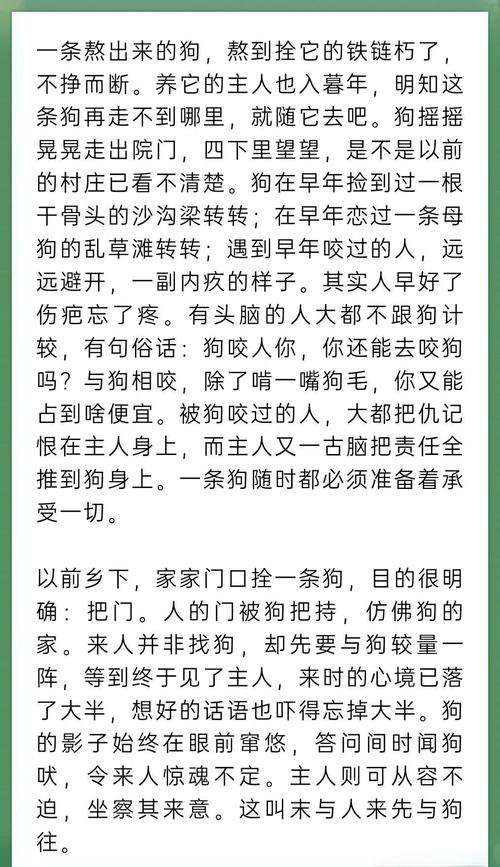 人狗合集全文在线阅读 | 精选人与狗温情故事合集