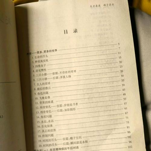 天才在左疯子在右在线阅读:探秘精神病人的奇异世界观