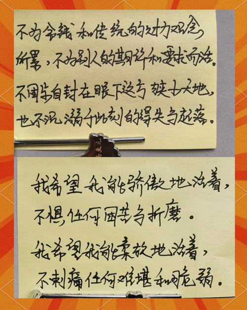 总要习惯一个人全文在线阅读 | 治愈成长经典