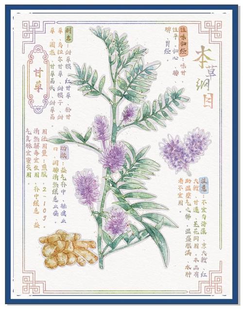 驭房有术全文在线阅读-高效驾驭房产的实战指南