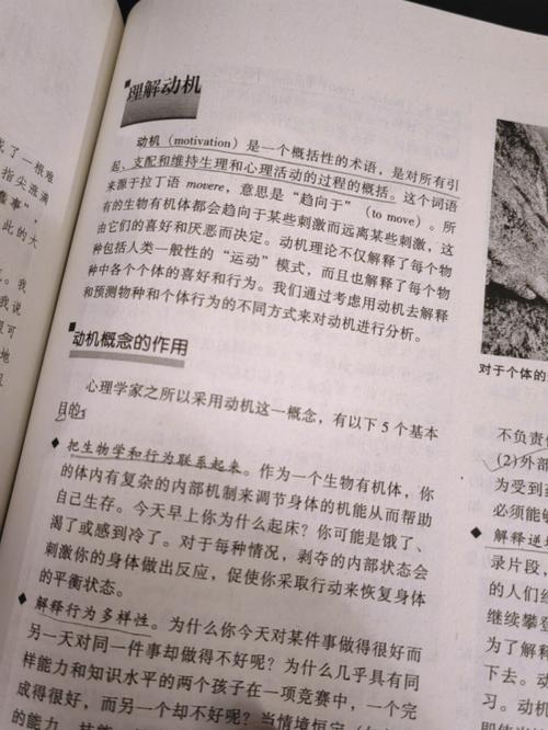 大团结全集全文在线阅读-完整版无删减