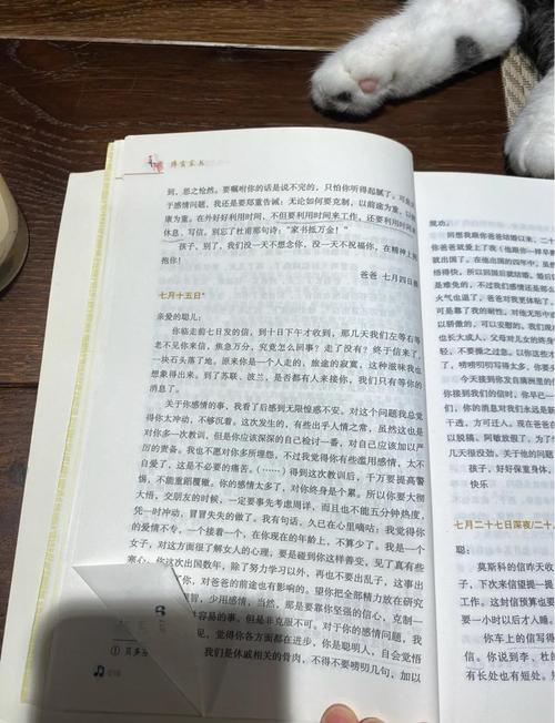 《最强狂兵》大红大紫著全文在线阅读|火爆爽文